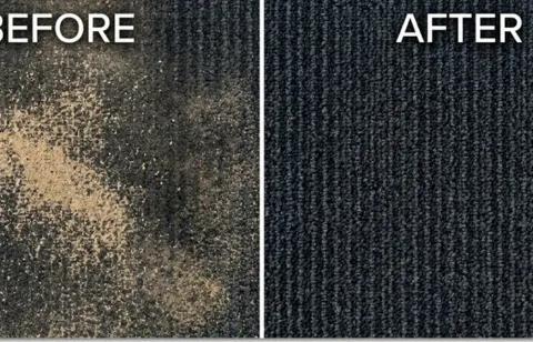 Before and after commercial carpet cleaning — Old Mesilla Plaza, NM-28 corridor, Mesilla NM