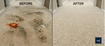Before and after move-out carpet cleaning at a rental property near NMSU, Las Cruces NM