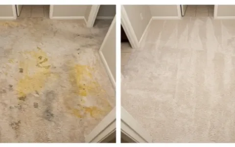 Before and after pet urine carpet cleaning — Meadow Vista, Sunland Park NM 88063