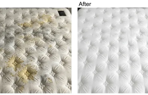 Before and after rental mattress cleaning — urine stain removal, Sunland Park NM