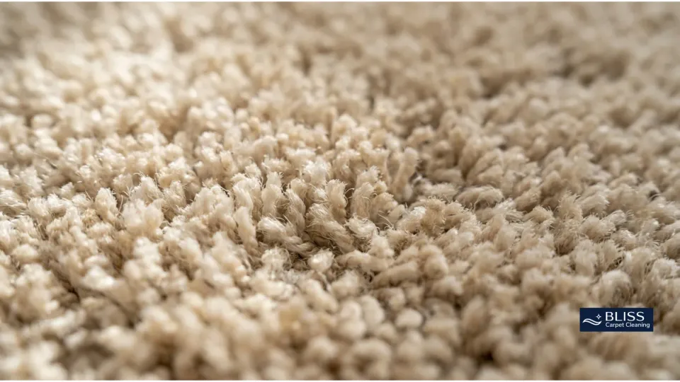 Close-up carpet fiber texture
