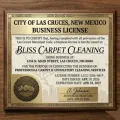 Fully licensed carpet cleaner — Las Cruces NM