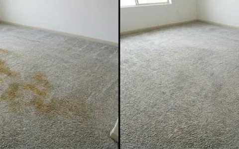 Pet stained carpet before and after cleaning on Solano Drive, Las Cruces NM