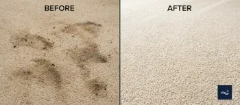 Professional carpet cleaning before and after pet stain removal in Sonoma Ranch, Las Cruces NM