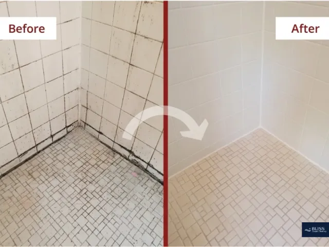 Professional mold removal from bathroom grout — Las Cruces NM, hot water extraction