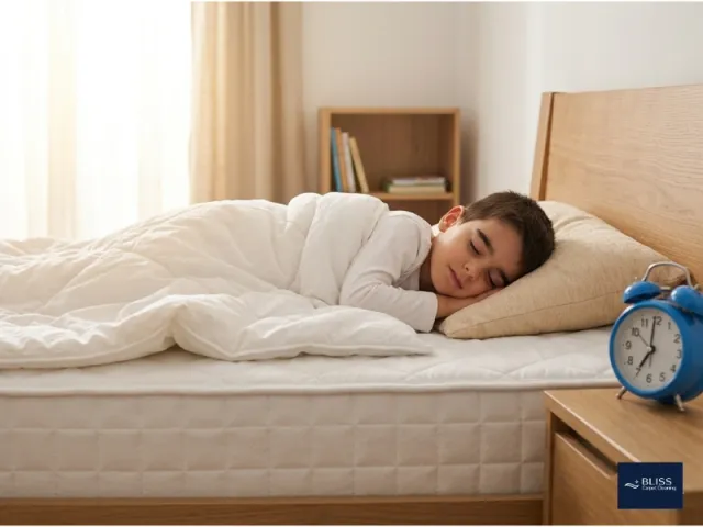 Safe eco-friendly mattress cleaning for kids and pets in Las Cruces NM