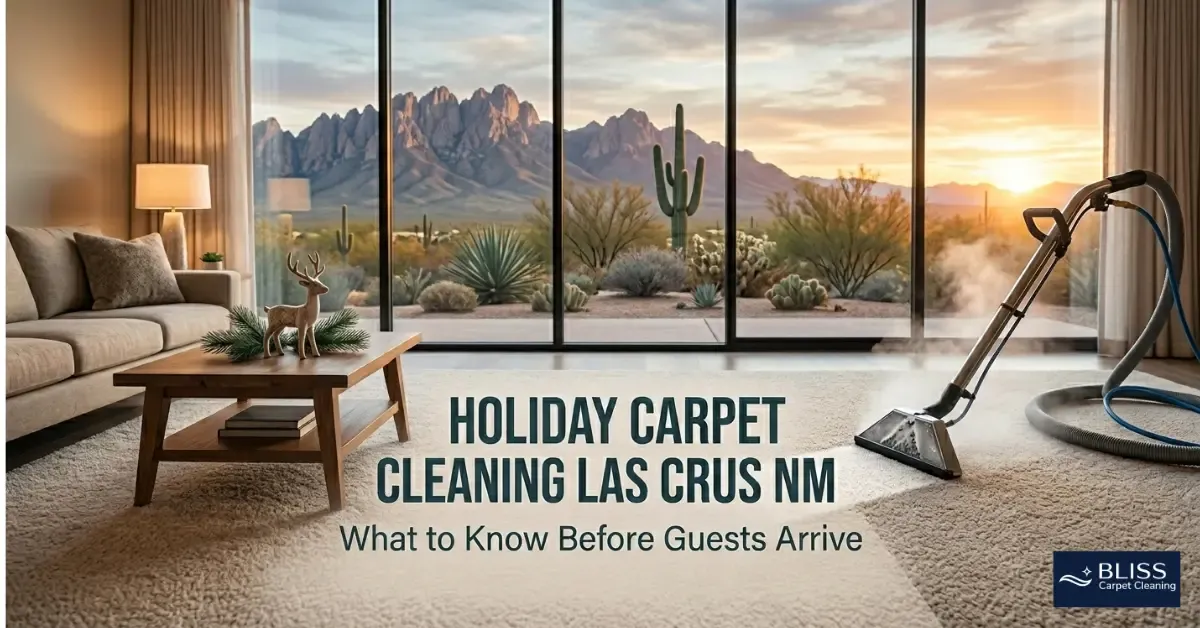 Holiday carpet cleaning Las Cruces NM